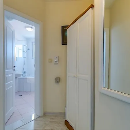 White Dove ゴールデンサンド