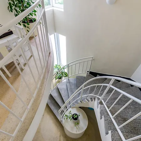 White Dove Zlate písky