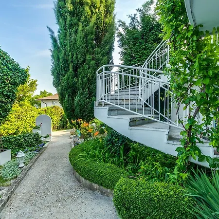 White Dove Zlate písky