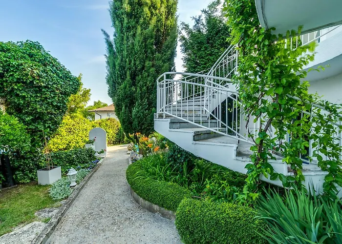 White Dove Sables d'or